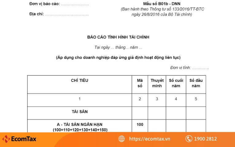 Mẫu bảng báo cáo tình hình tài chính theo thông tư 133