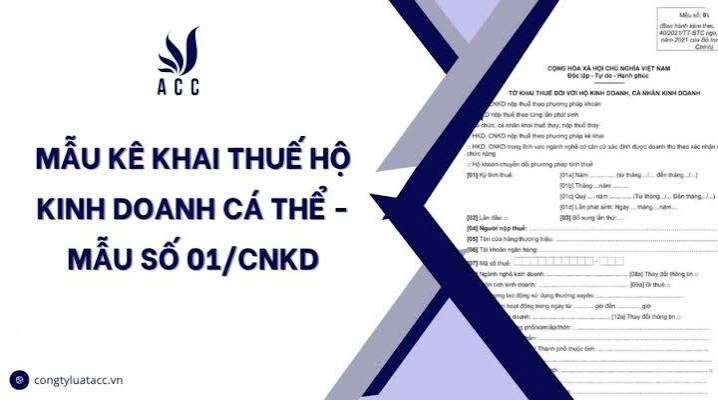 Tờ khai thuế cá nhân kinh doanh mẫu 01/CNKD