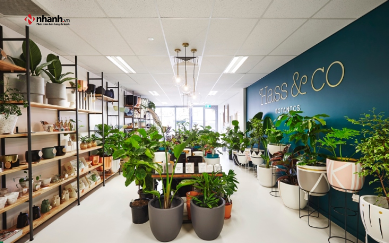 Bán online với mặt hàng cây cảnh trang trí