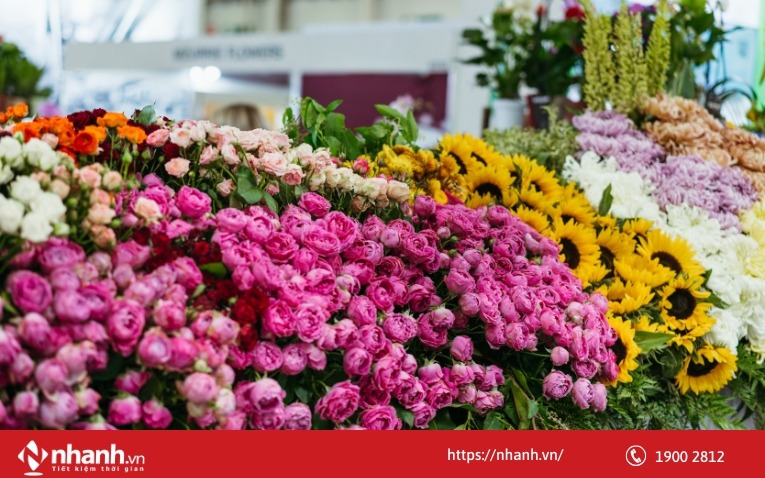 Kinh doanh hoa tươi, hoa để chậu