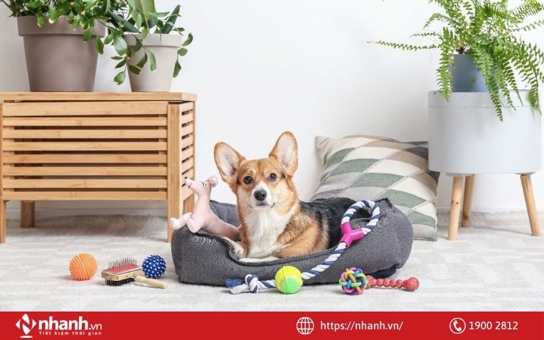 Phụ kiện dành cho thú cưng cũng là một mặt hàng trên Shopee