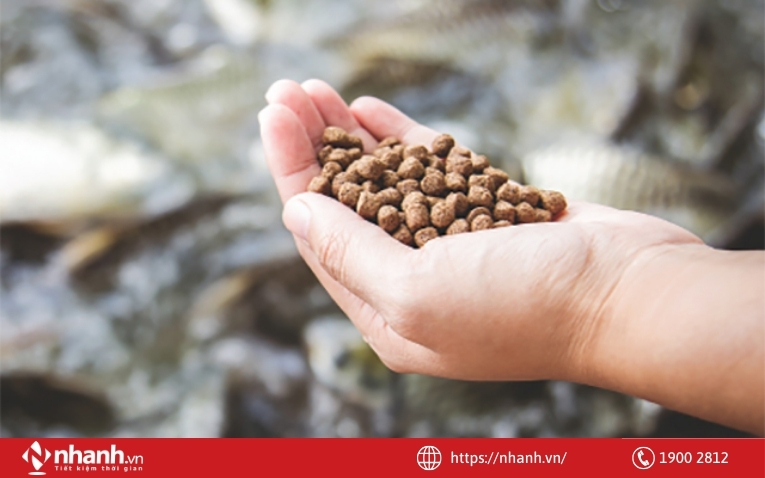 Cấp phát thức ăn chất lượng dành cho thủy sản nuôi trồng