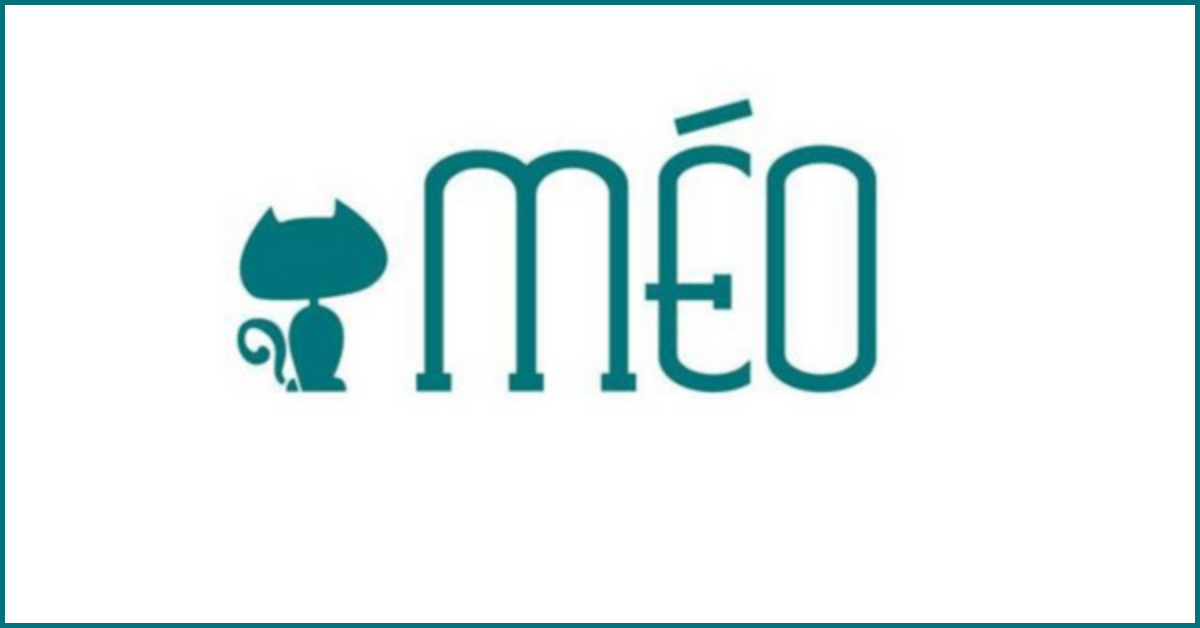 Méo Shop - Yêu từ cái nhìn đầu tiên