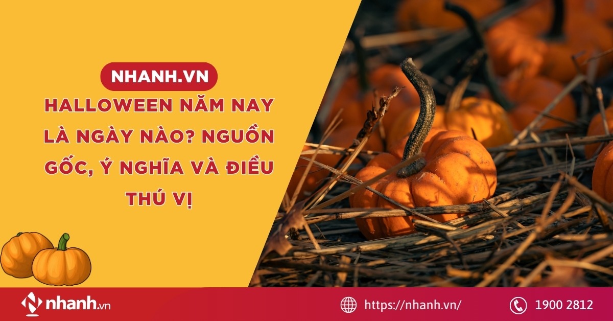 Halloween 2026 là ngày nào? Nguồn gốc, ý nghĩa và điều thú vị