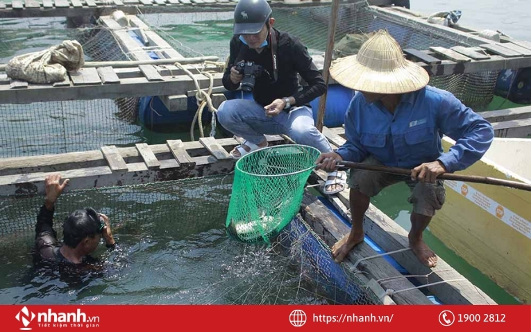 Lựa chọn loại thủy, hải sản phù hợp với điều kiện tự nhiên