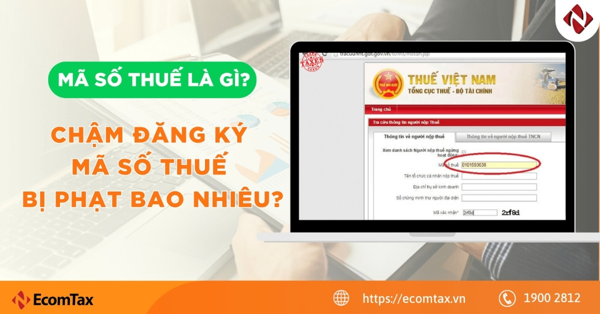 Mã số thuế là gì? Chậm đăng ký mã số thuế bị phạt bao nhiêu?