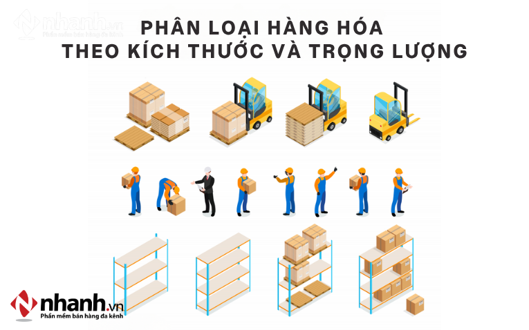 Phân loại theo kích thước và trọng lượng