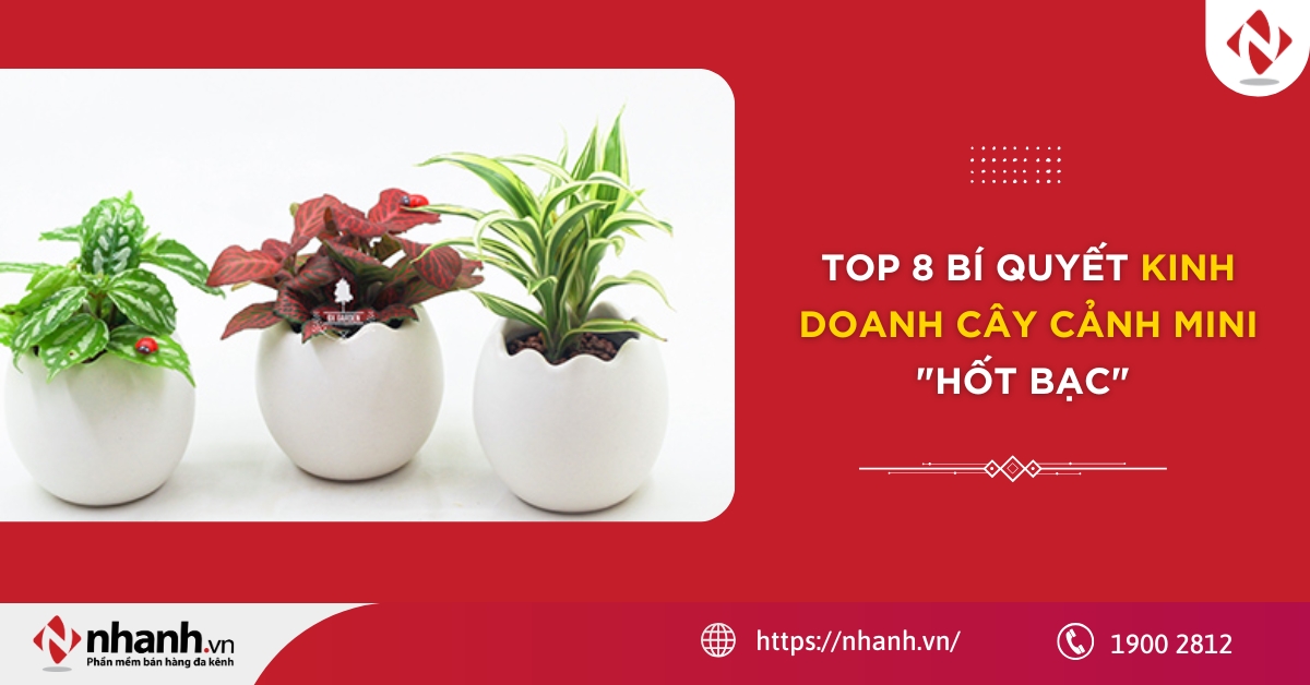 TOP 8 bí quyết kinh doanh cây cảnh mini 