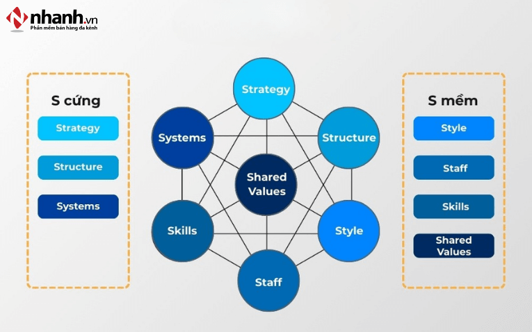 Xác định mối liên kết giữa các yếu tố