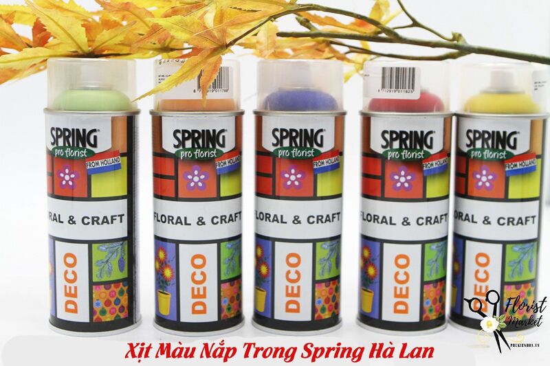 Sơn Hoa - Xịt Màu Nắp Trong Spring Hà Lan