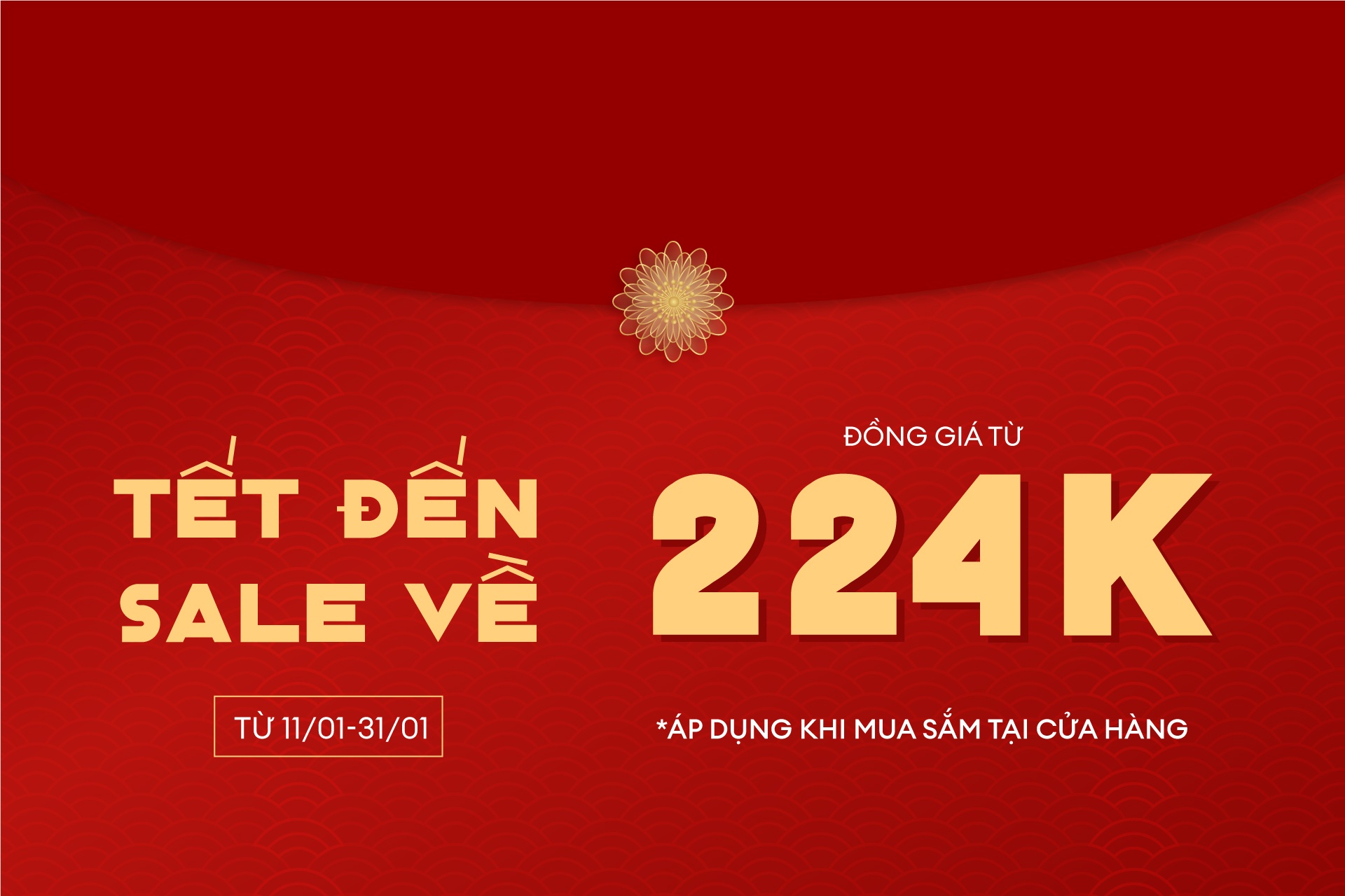 TẾT ĐẾN SALE VỀ - ĐỒNG GIÁ CHỈ TỪ 224K ĐÓN 2024 LINH ĐÌNH