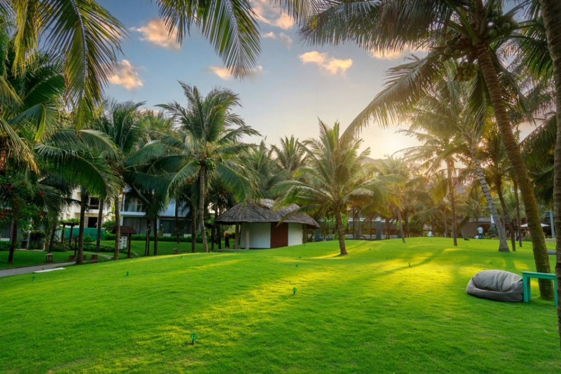Lotus Village Resort - Mũi Né: Nơi An Yên Giữa Lòng Biển Xanh