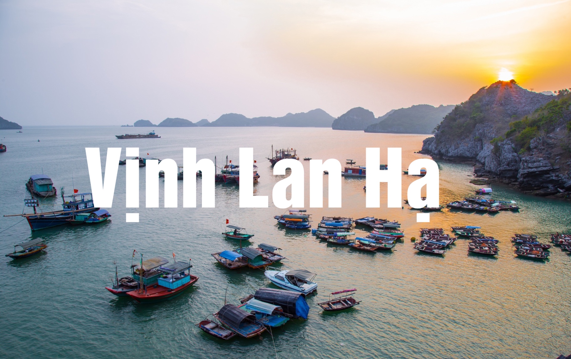 5 Địa điểm tuyệt vời để lưu trú ở Cát Bà: Chọn nơi nào cho kỳ nghỉ đáng nhớ?