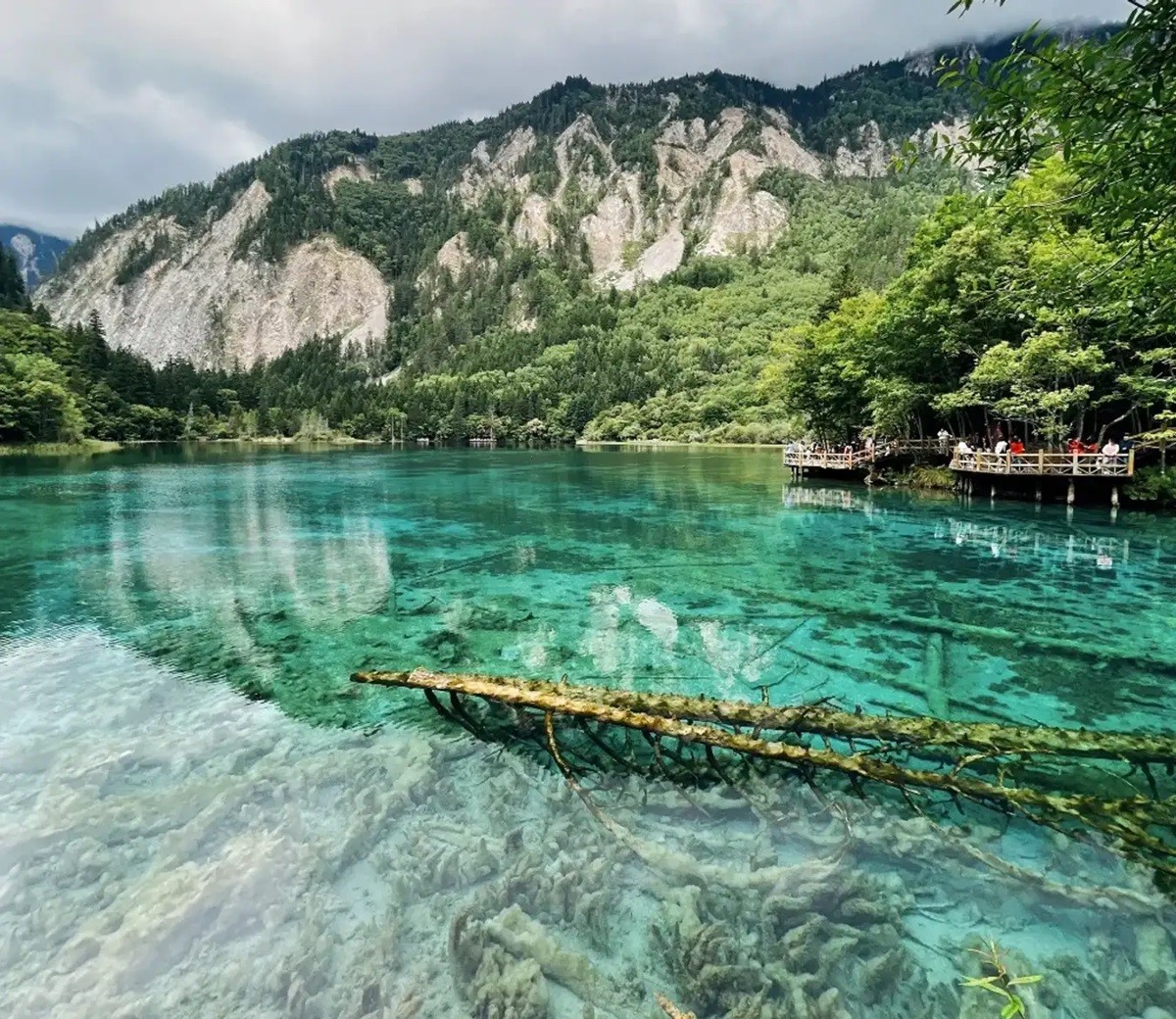 Tour Trung Quốc: Thành Đô - Công viên Manhua - Cửu Trại Câu - Lạc Sơn Đại Phật 6 ngày 5 đêm