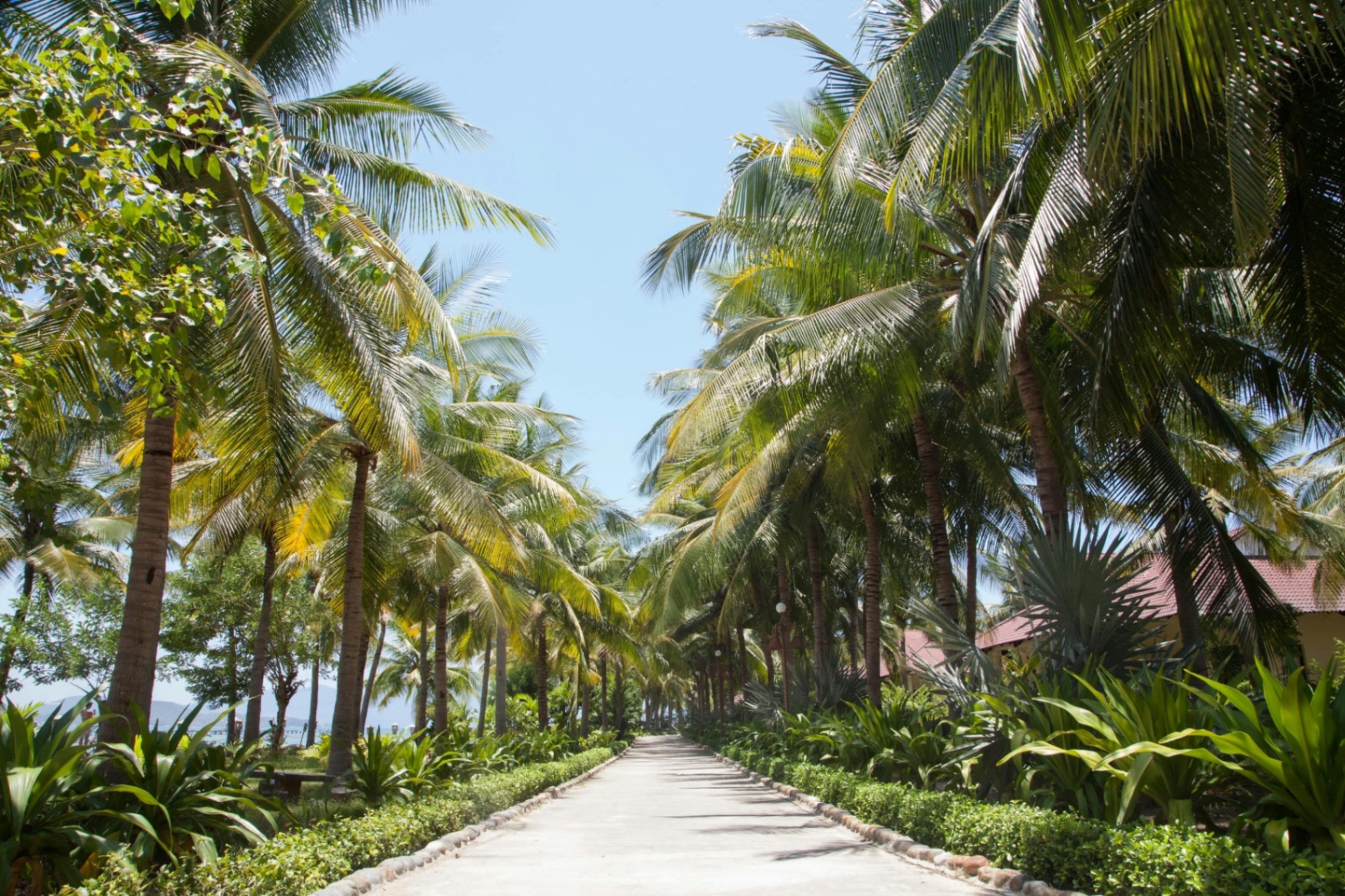 Diamond Bay Resort & Spa
