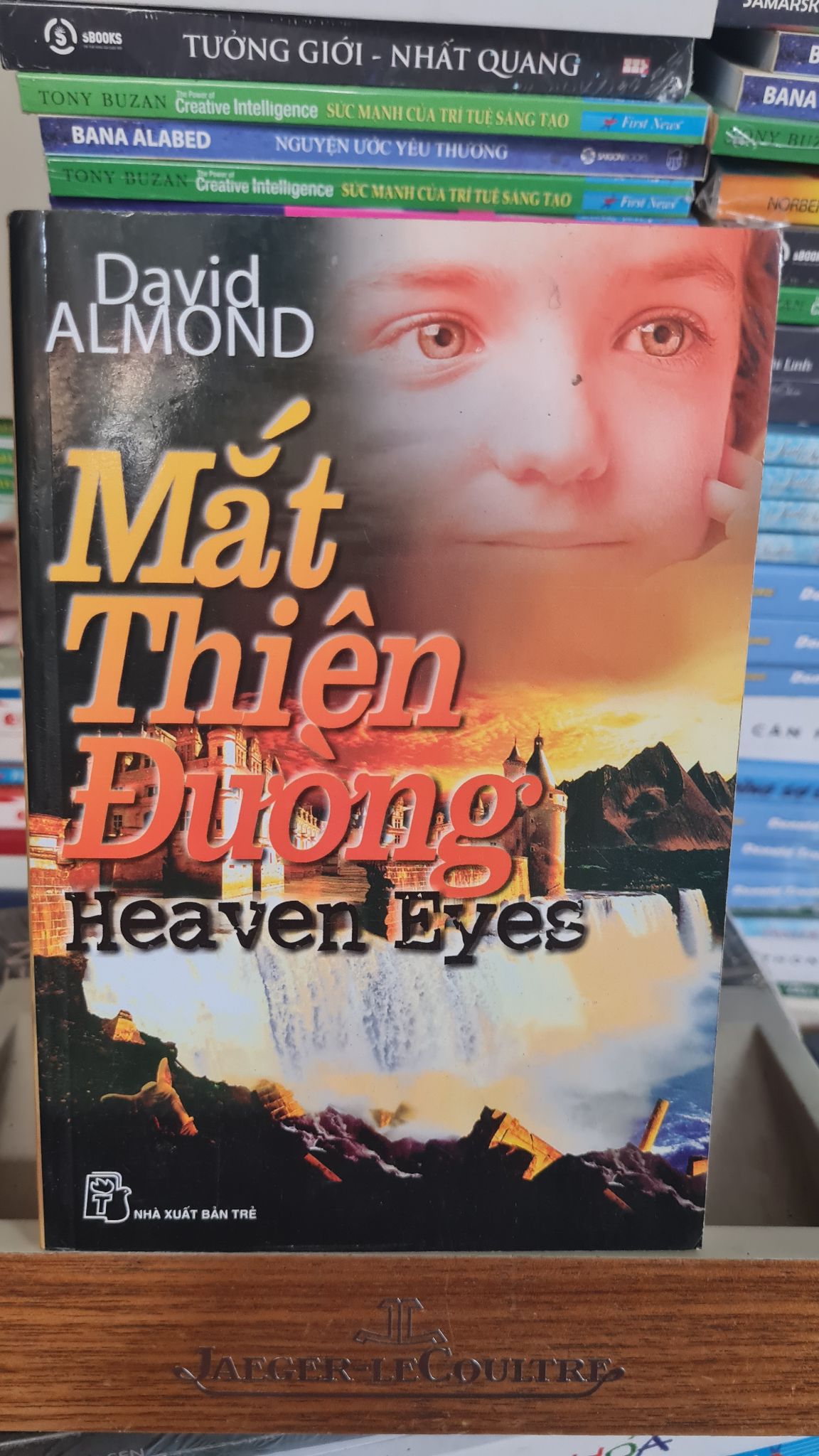 Mắt thiên đường -Sách lưu kho mới 85%- 2007 David Almond [2001] SÁCH VĂN HỌC