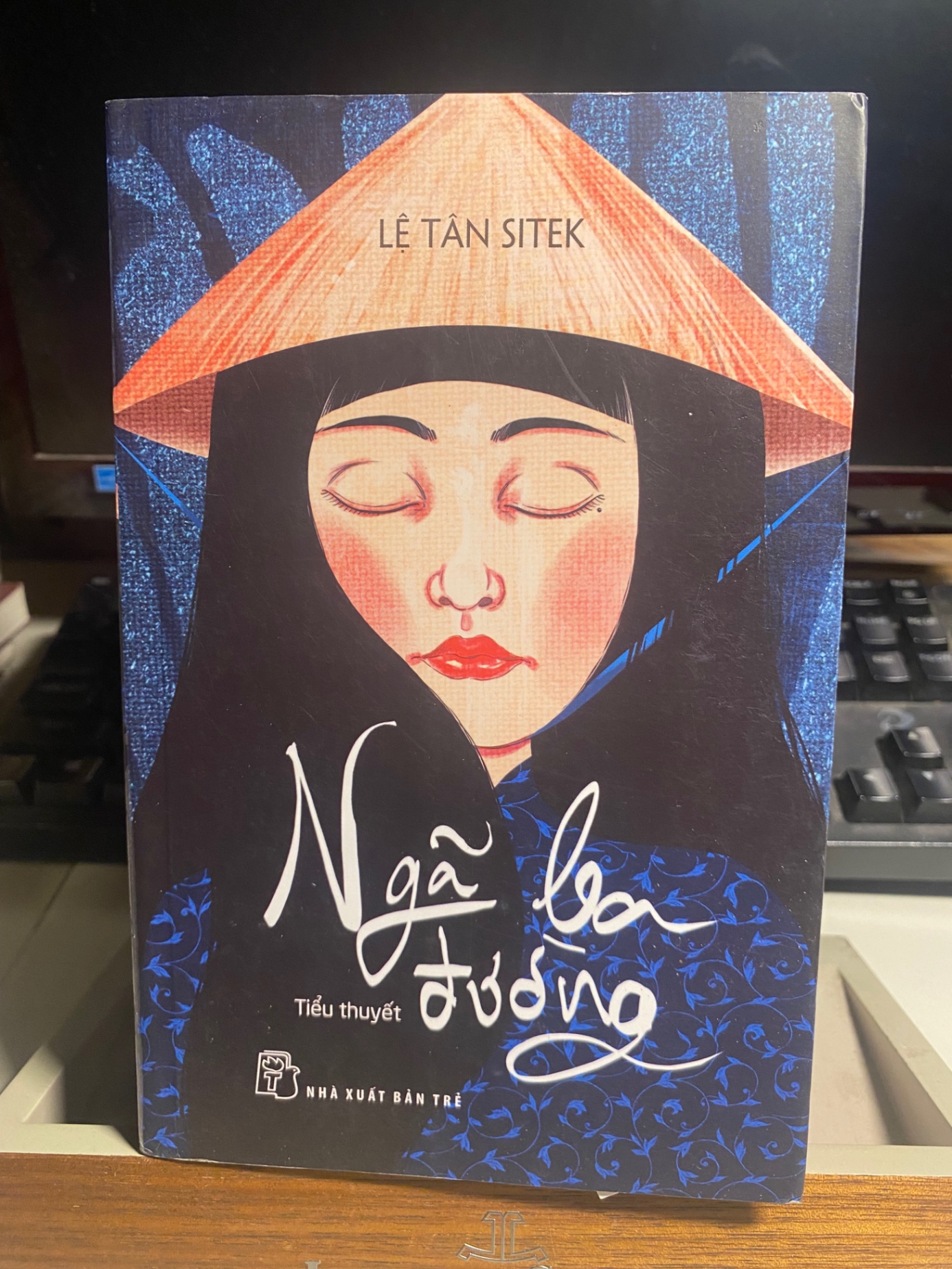 Ngã Ba Đường (tiểu thuyết)- Lệ Tân Sitek- NXB Trẻ- Sách lưu kho mới 90% có ố nhẹ cạnh