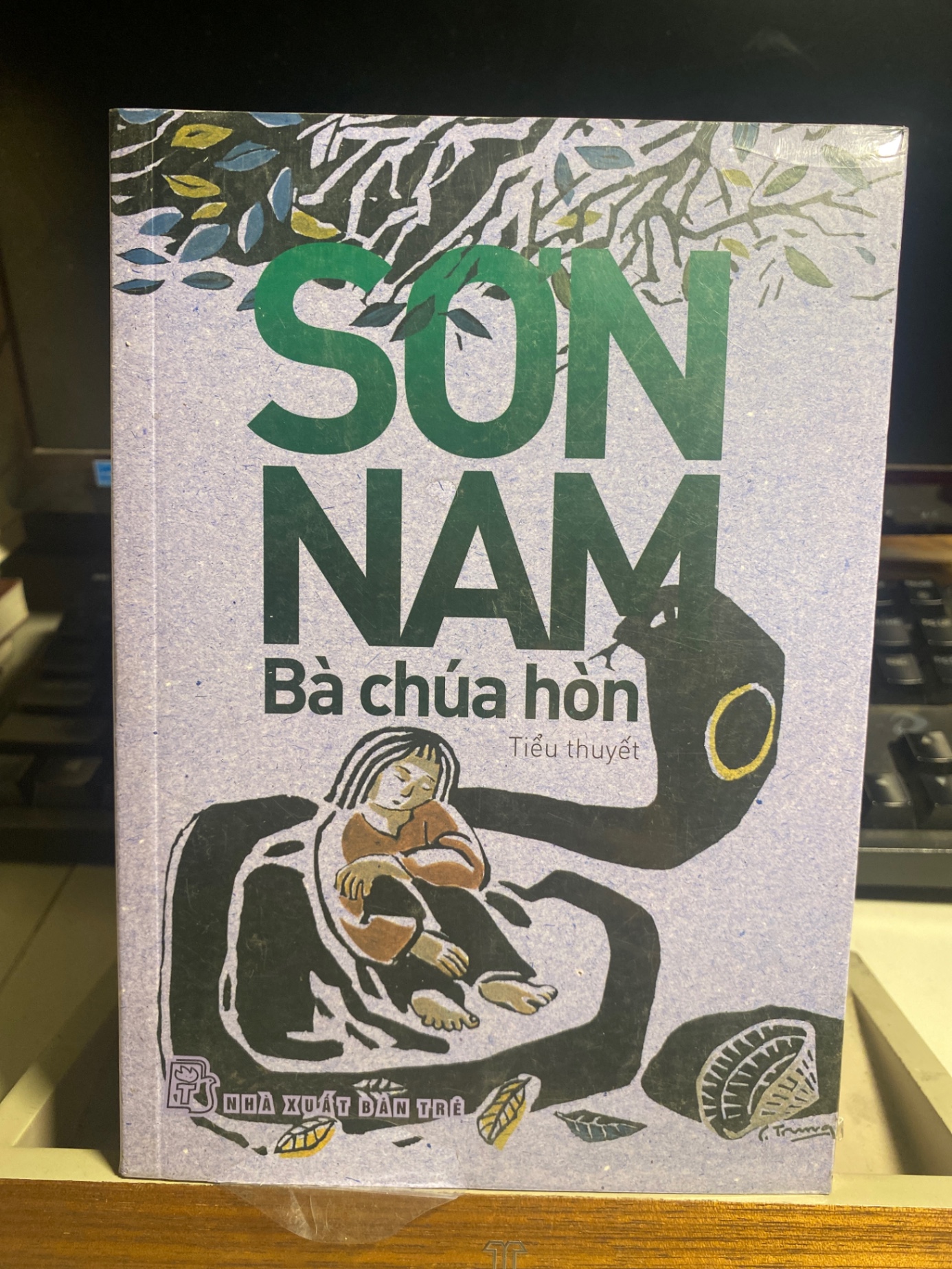 Bà Chúa Hòn - Sơn Nam- NXB Trẻ- Sách lưu kho chưa qua sd còn seal,mới 90%