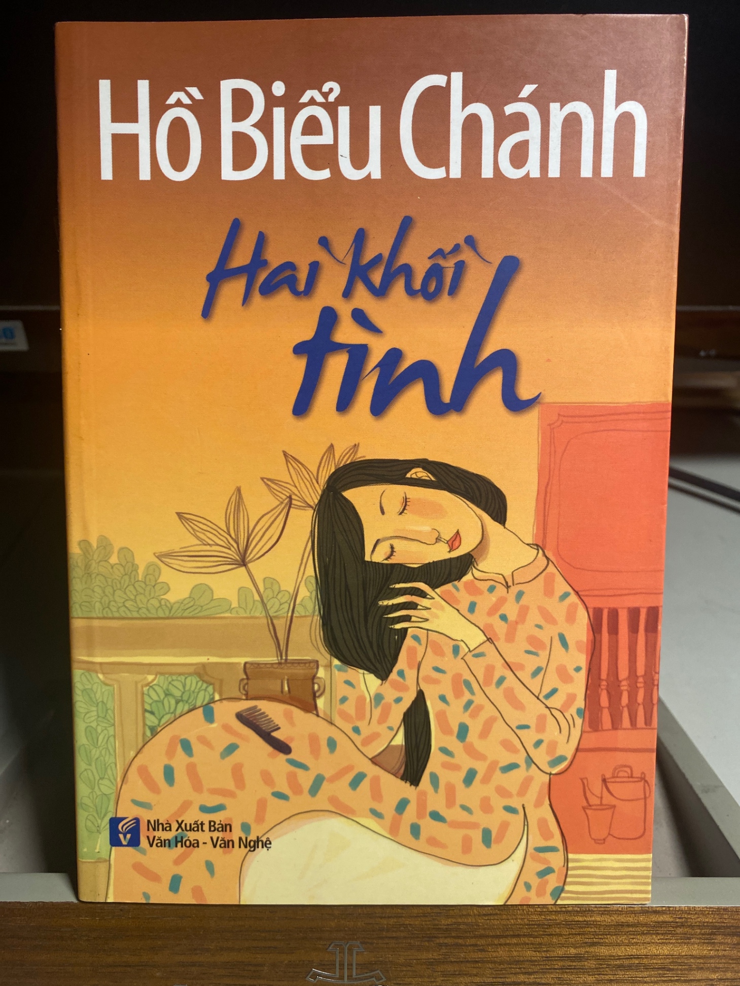 Hai Khối Tình- Hồ Biểu Chánh- NXB Văn Hoá Văn Nghệ 2014- Sách lưu kho mới 95%