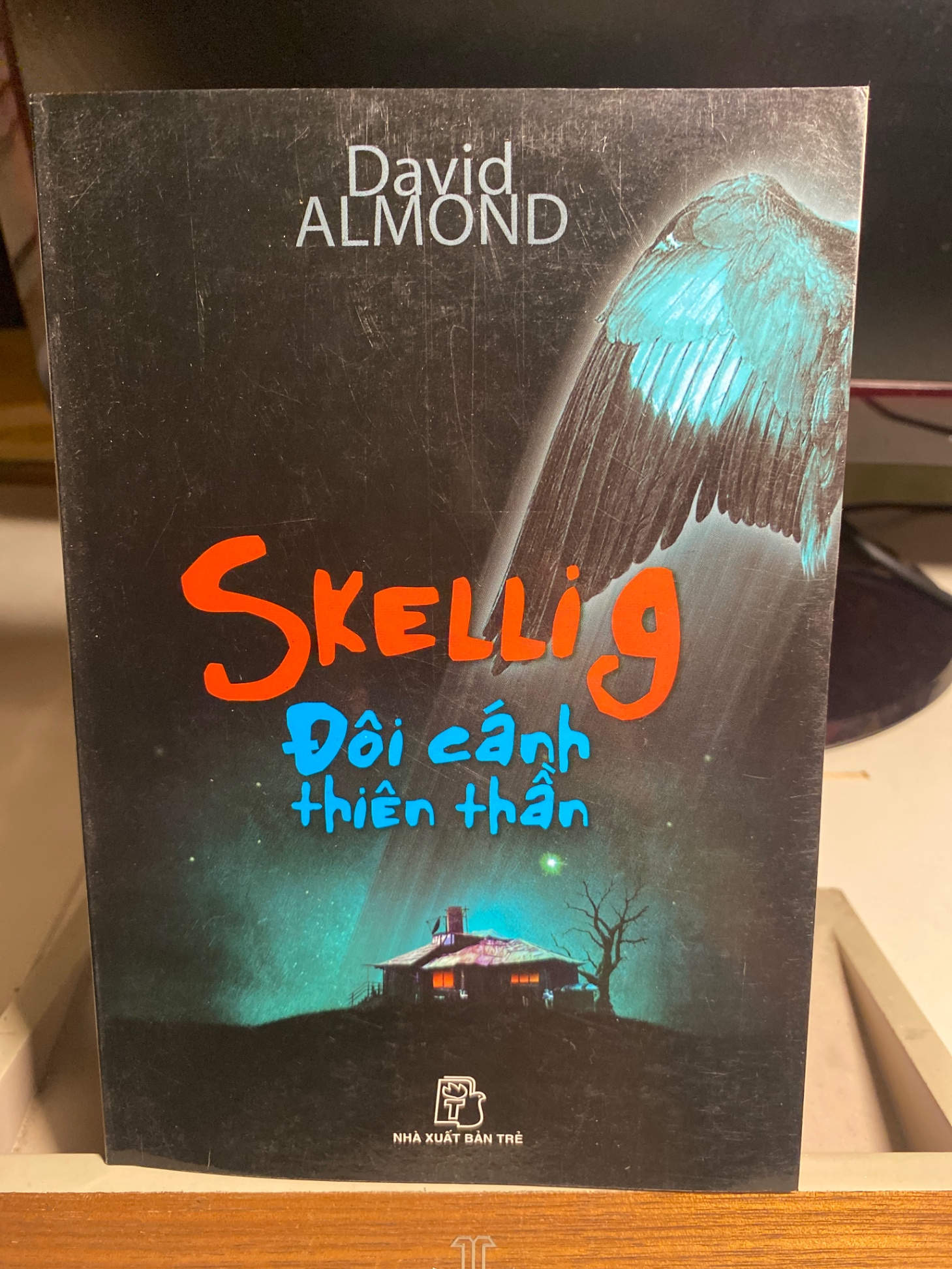 Skelling Đôi Cánh Thiên Thần- David Almond- NXB Trẻ 2006- Sách lưu kho, giấy có ố nhẹ