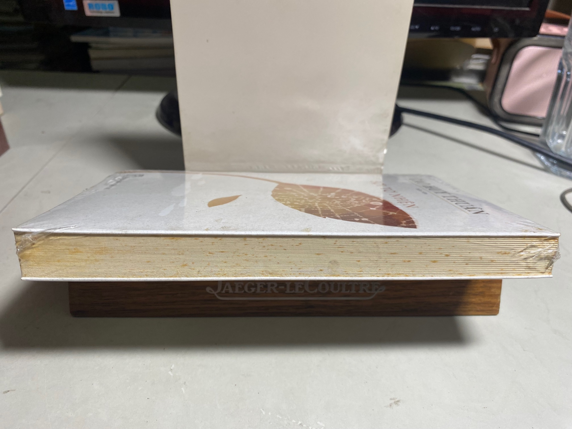 Sợi Tơ Nhện- Tác giả: Cao Huy Thuần -NXB Trẻ -Sách nguyên seal , giấy xốp có ố cạnh