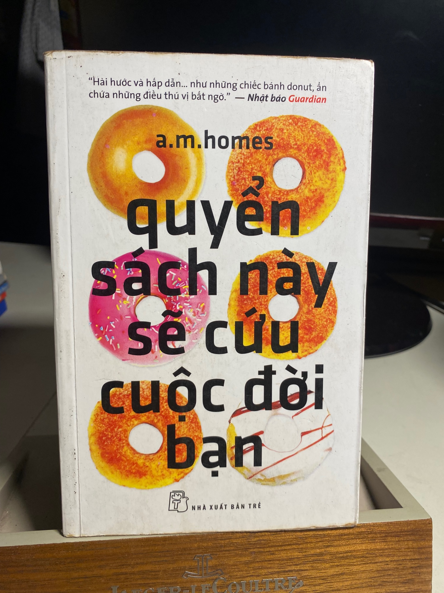 Quyển Sách Này Sẽ Cứu Cuộc Đời Bạn- A.M.Homes- NXB Trẻ 2012- Sách lưu kho giấy ố theo thời gian