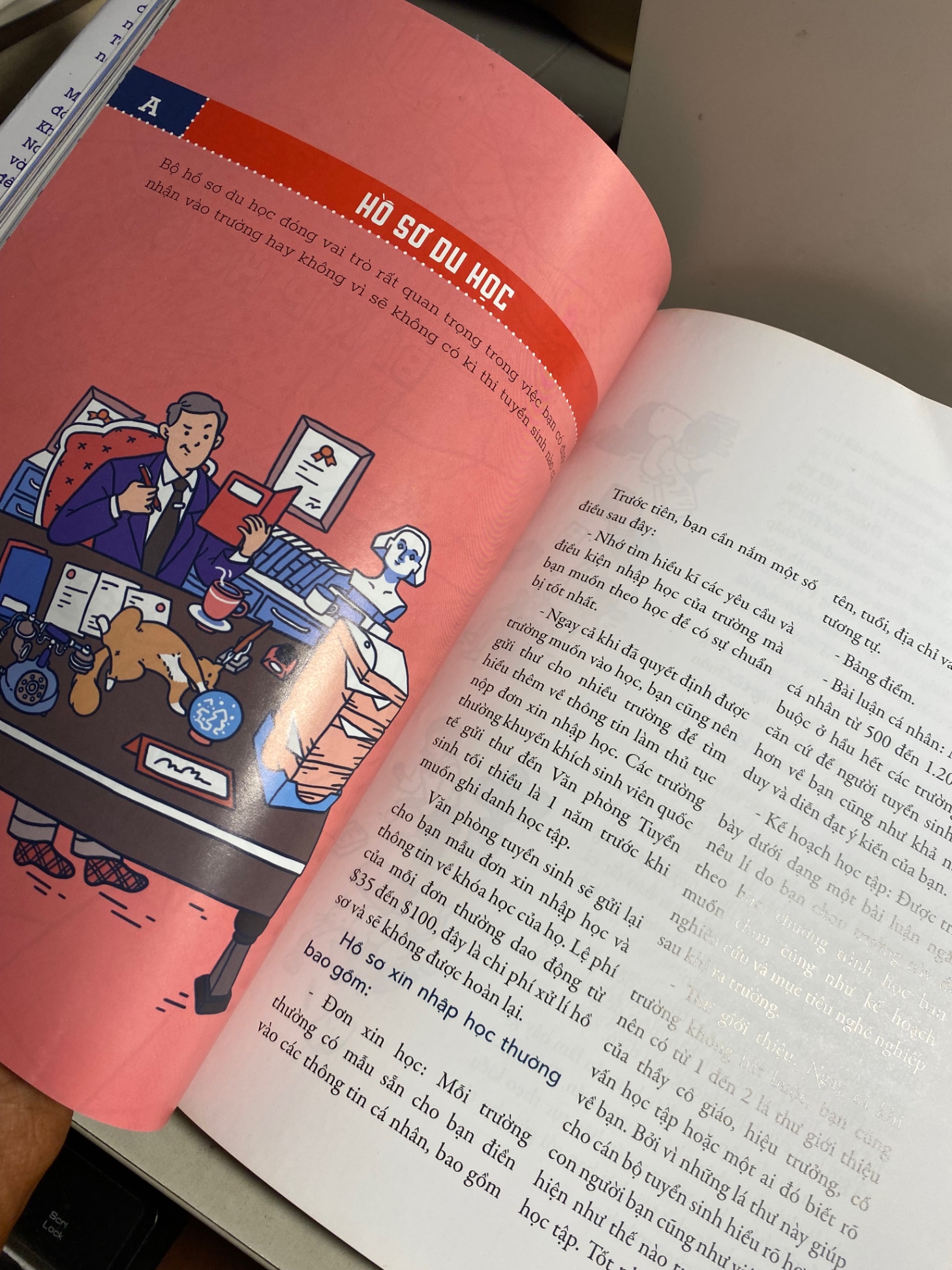 Du Học Mỹ cần gì trong ví- Ngân Lê,Mỹ Dung biên soạn- NXB Kim Đồng 2018-Sách qua sử dụng còn mới