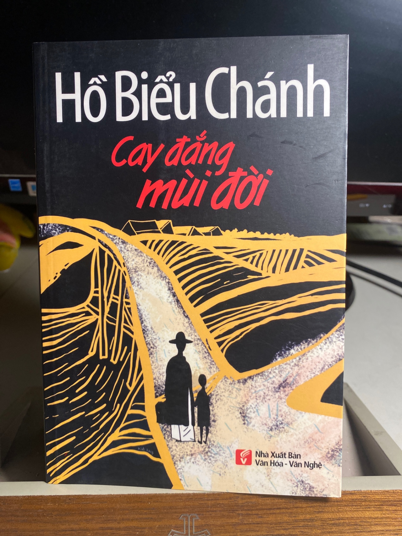 Cay Đắng Mùi Đời- Tác giả Hồ Biểu Chánh- NXB Văn Hoá Văn Nghệ 2014- Sách lưu kho còn mới