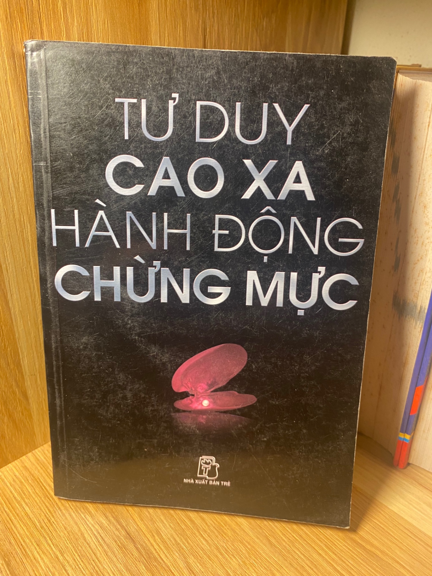 Tư Duy Cao Xa ,Hành Động Chừng Mực- NXB Trẻ 2007