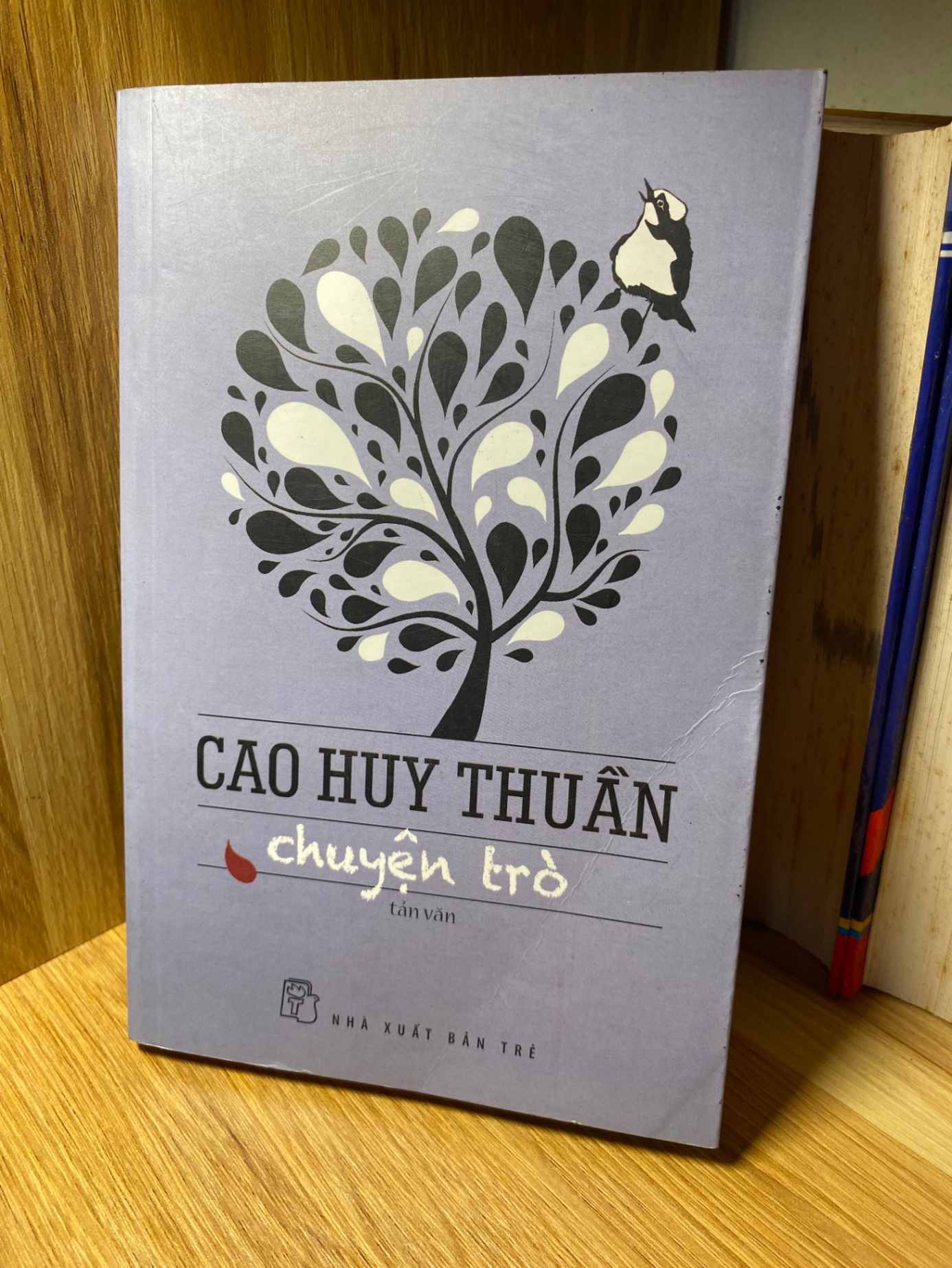 Chuyện Trò- Tác giả Cao Huy Thuần -NXB Trẻ 2014 -Sách lưu kho chưa qua sử dụng,có ố theo thời gian
