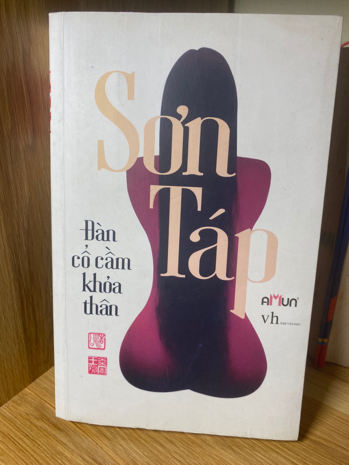 Đàn Cổ Cầm Khoả Thân- Tác giả Sơn Táp- NXB Văn Học 2013- Sách chưa qua sử dụng,có ố cạnh