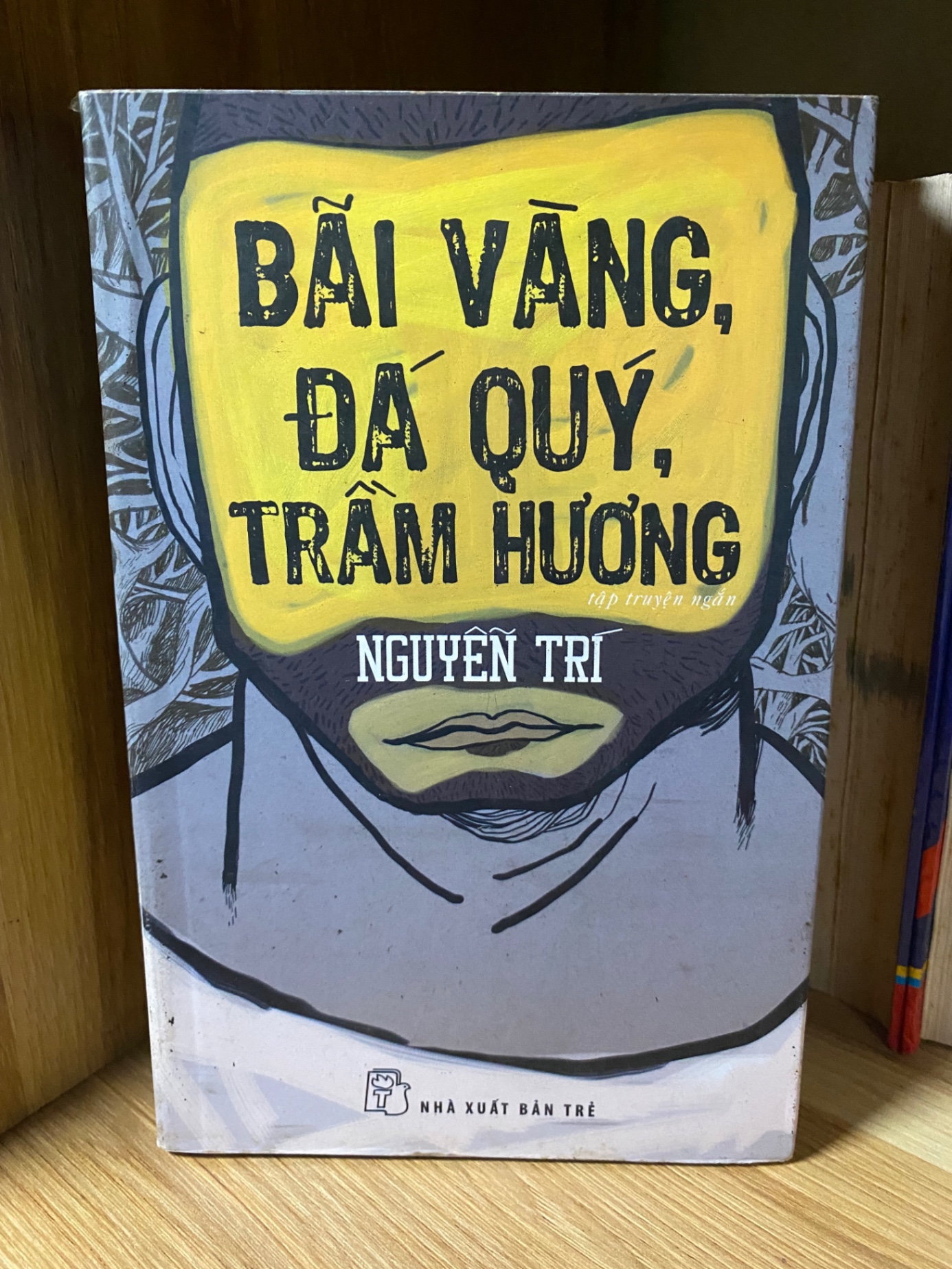 Bãi Vàng,Đá Quý,Trầm Hương - Tác giả Nguyễn Trí -NXB Trẻ 2013 -Sách lưu kho,giấy ngả màu ố theo thời gian