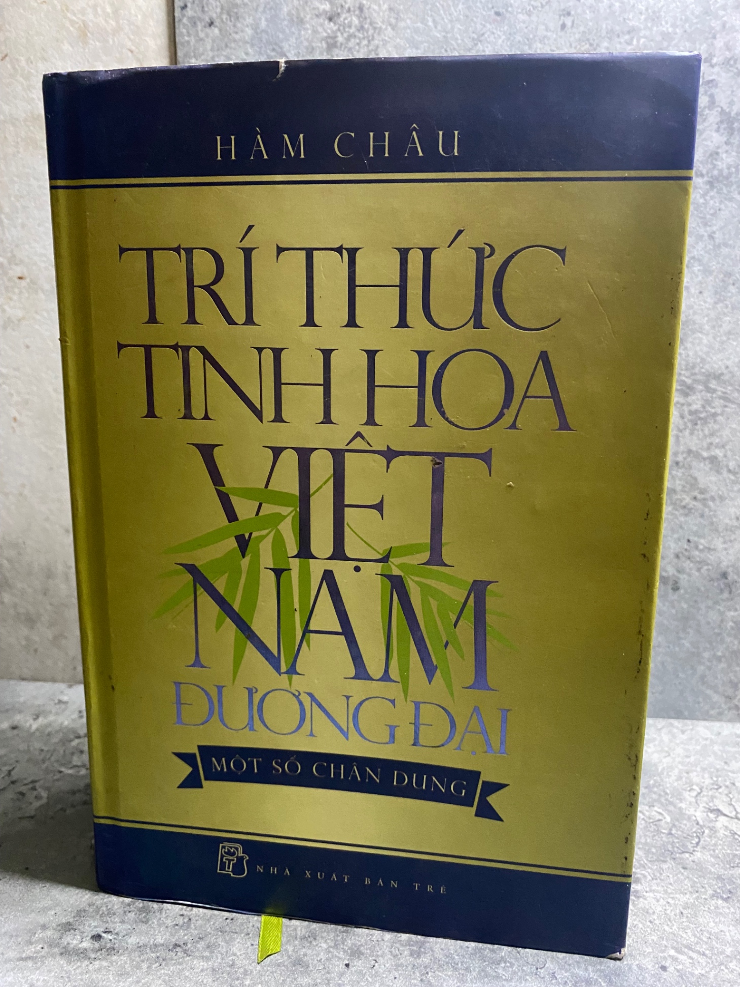 Tri Thức Tinh Hoa Việt Nam Đương Đại (bìa cứng có áo)- Tác giả Hàm Châu-NXB Trẻ 2014- Sách lưu kho chưa qua sd,giấy xốp có ố