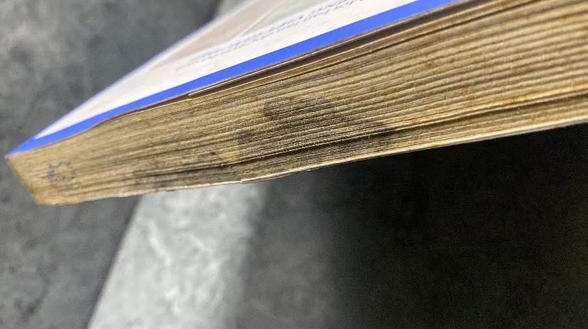 Đi Tìm Bản Sắc Tiếng Việt - Tác giả Trịnh Sâm -NXB Trẻ 2018 -Sách lưu kho có ố,có vết đen ở đầu như hình chụp