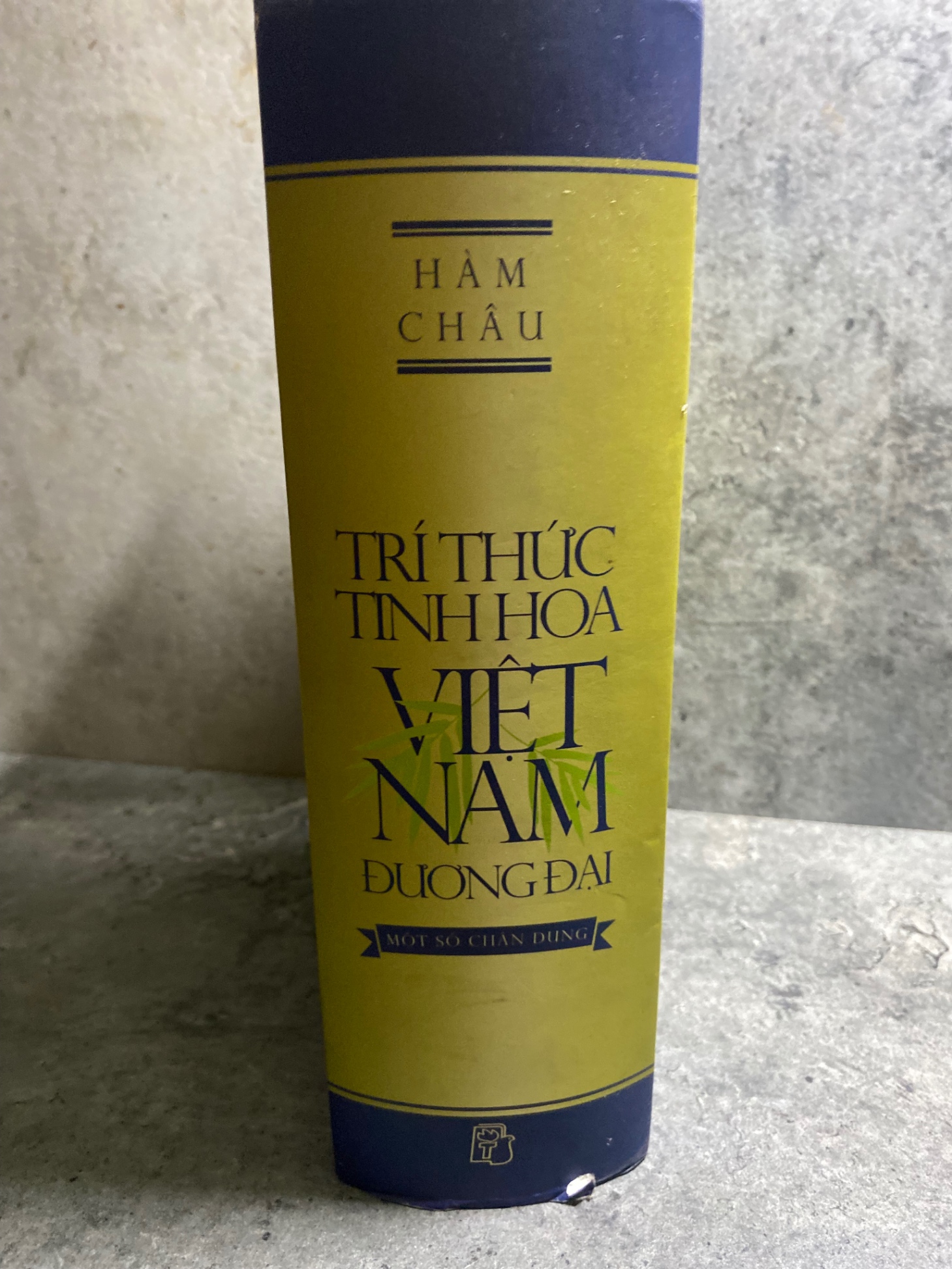 Tri Thức Tinh Hoa Việt Nam Đương Đại (bìa cứng có áo)- Tác giả Hàm Châu-NXB Trẻ 2014- Sách lưu kho chưa qua sd,giấy xốp có ố