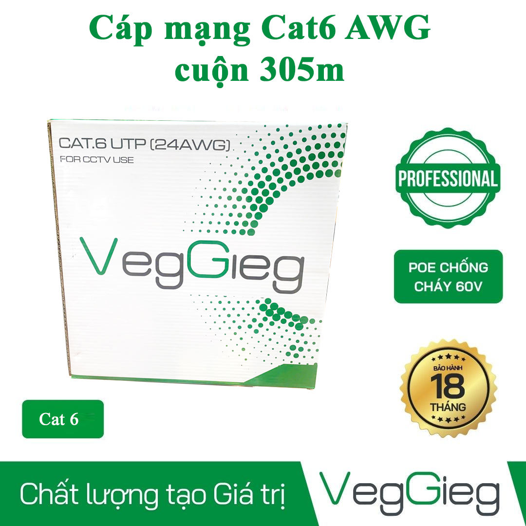 Dây cáp mạng VegGieg UTP Cat6e 24AWG Màu Xanh (Lõi Đồng 305m)