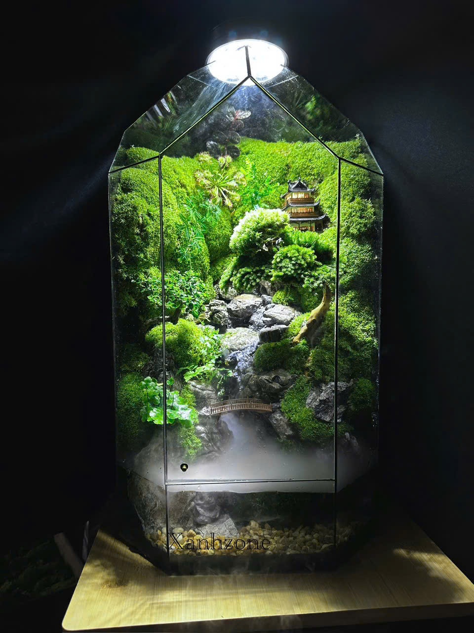 Hồ đa giác _ Nuôi cá size 45cm