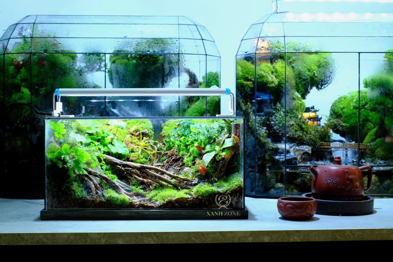 Terrarium - Quà tặng Decor M30 - Mẫu 3