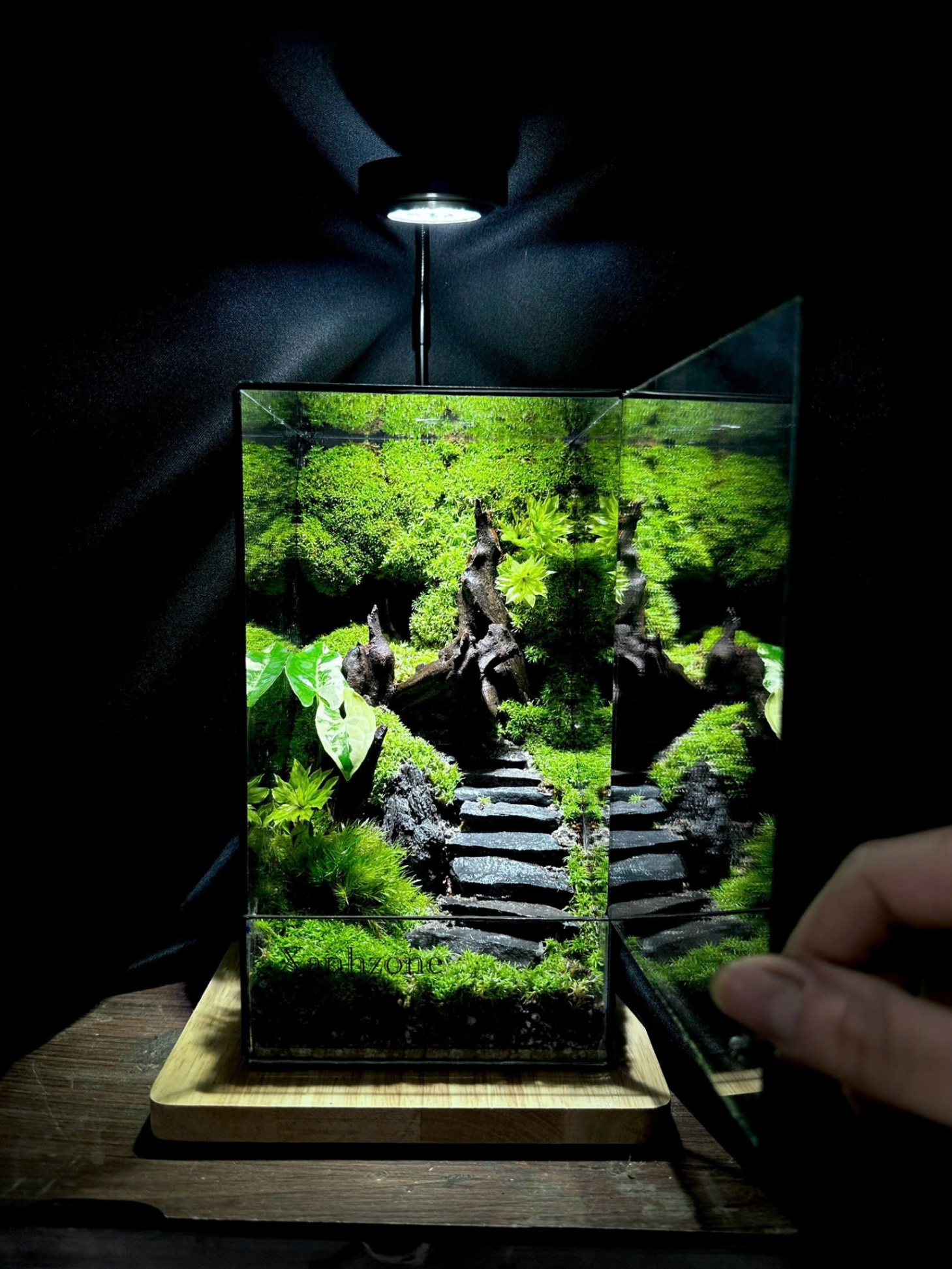 Đèn led đế gỗ cho hồ terrarium, hồ cá mini - 3w vuông