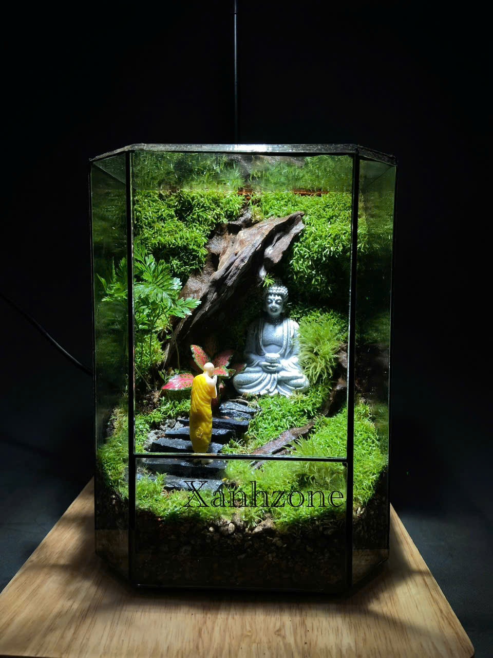 Đa giác Terrarium Phật -  Size mini để bàn quà tặng - Mẫu 1