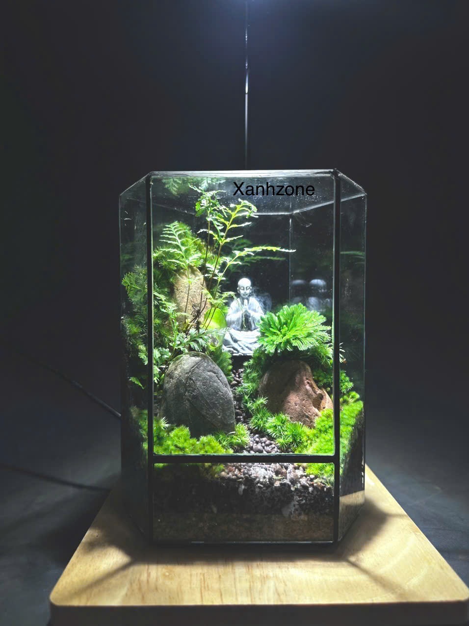 Đa giác Terrarium Phật -  Size mini để bàn quà tặng - Mẫu 4