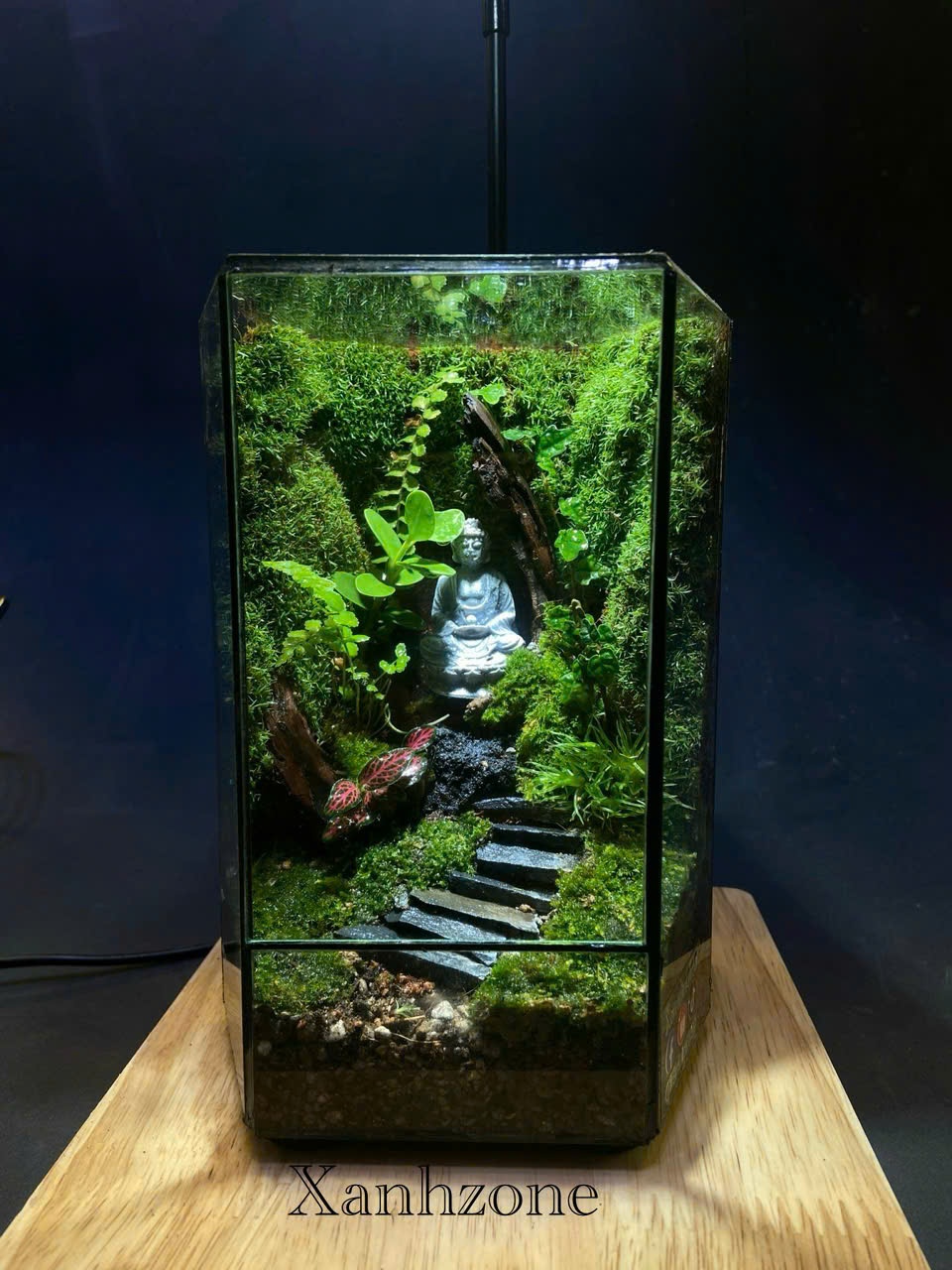 Đa giác Terrarium Phật -  Size mini để bàn quà tặng - Mẫu 2