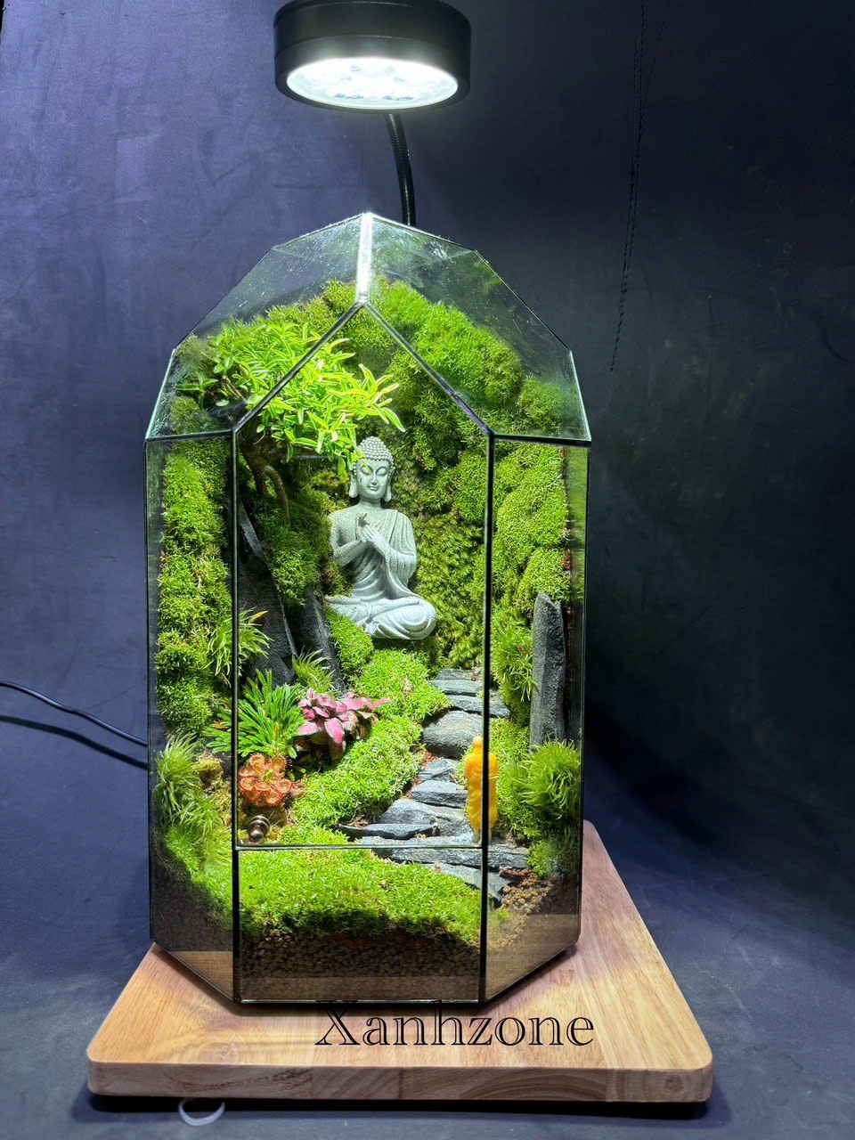 Terrarium đa giác phật thiền, tiểu cảnh phật giáo - Mẫu 3