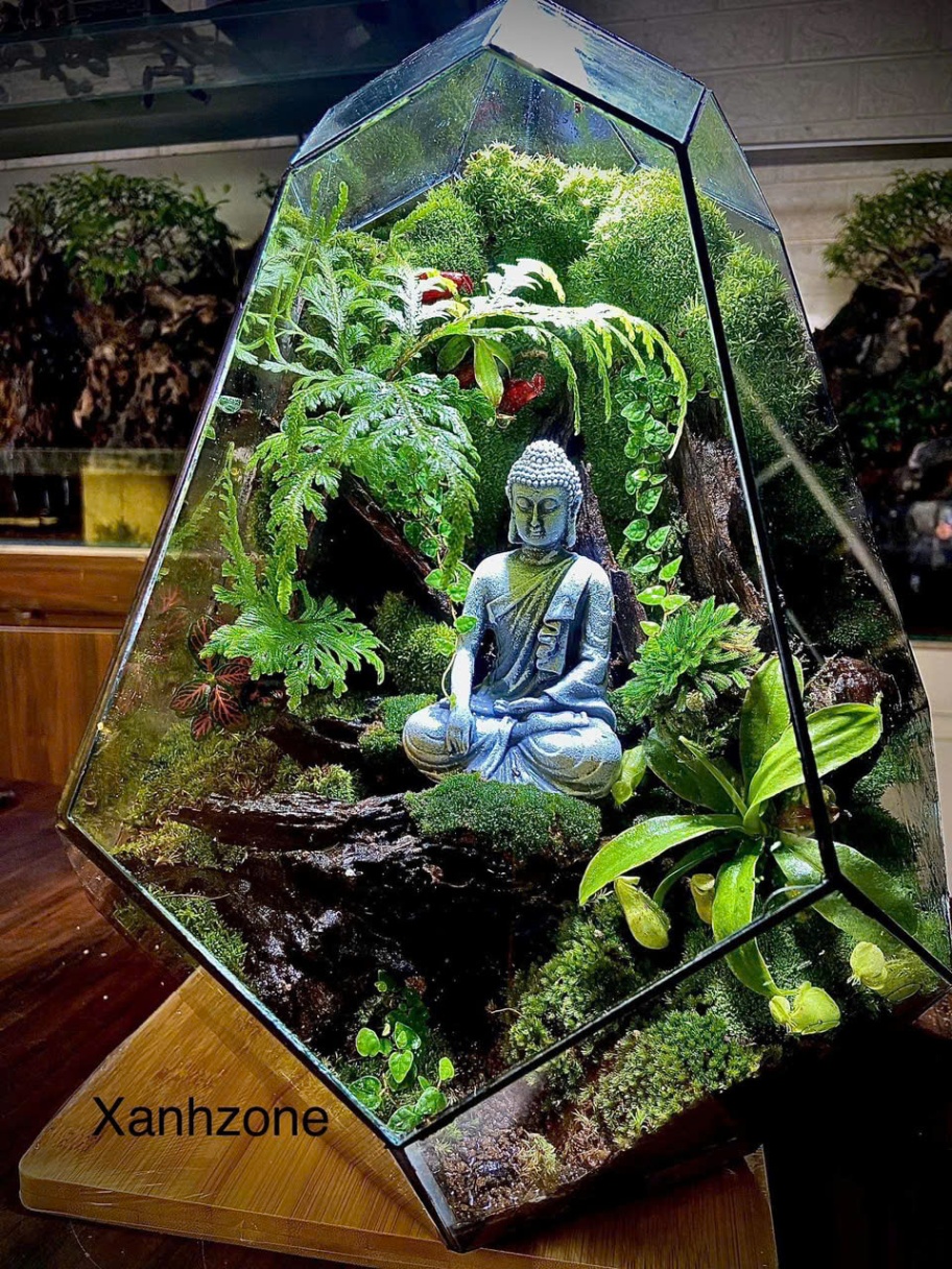 Terrarium đa giác phật thiền, tiểu cảnh phật giáo - Mẫu 6