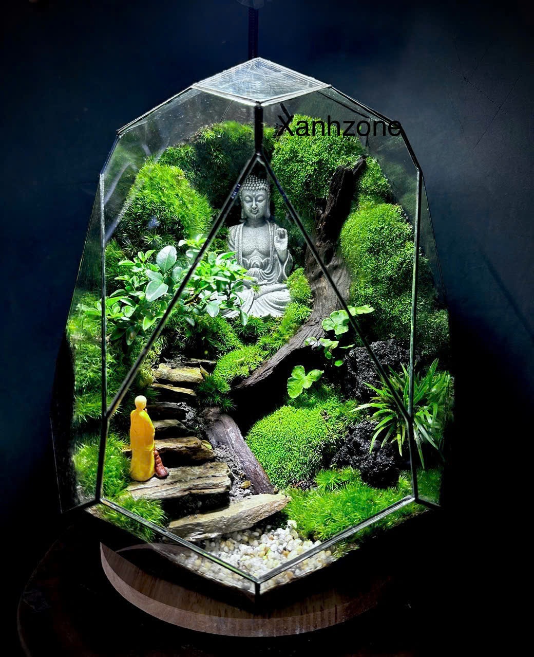 Đèn led đế gỗ cho hồ terrarium, hồ cá mini - 7w đế tròn