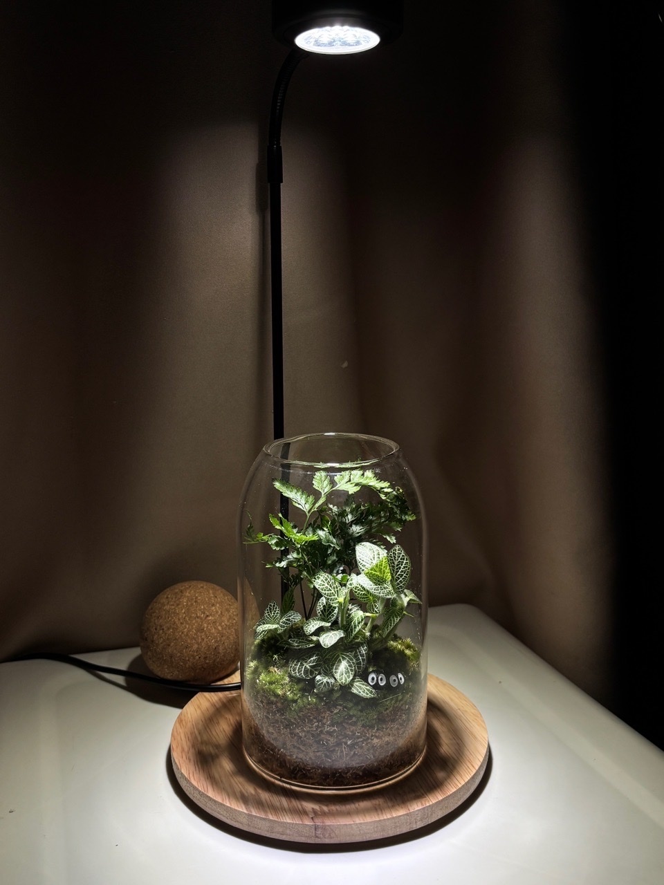 Đèn led đế gỗ cho hồ terrarium, hồ cá mini - 3w đế tròn