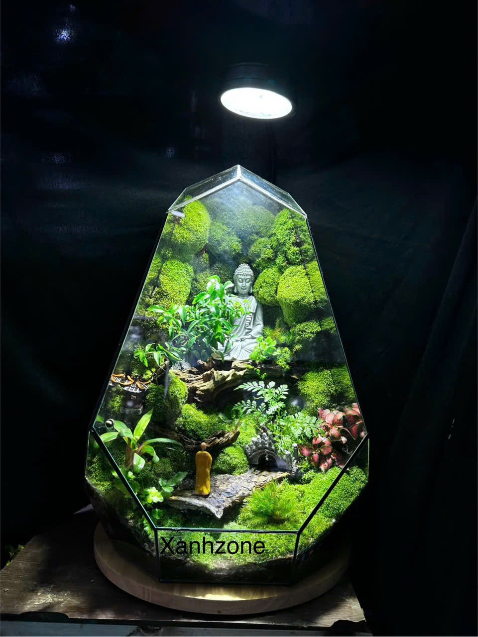Đèn led đế gỗ cho hồ terrarium, hồ cá mini - 7w vuông