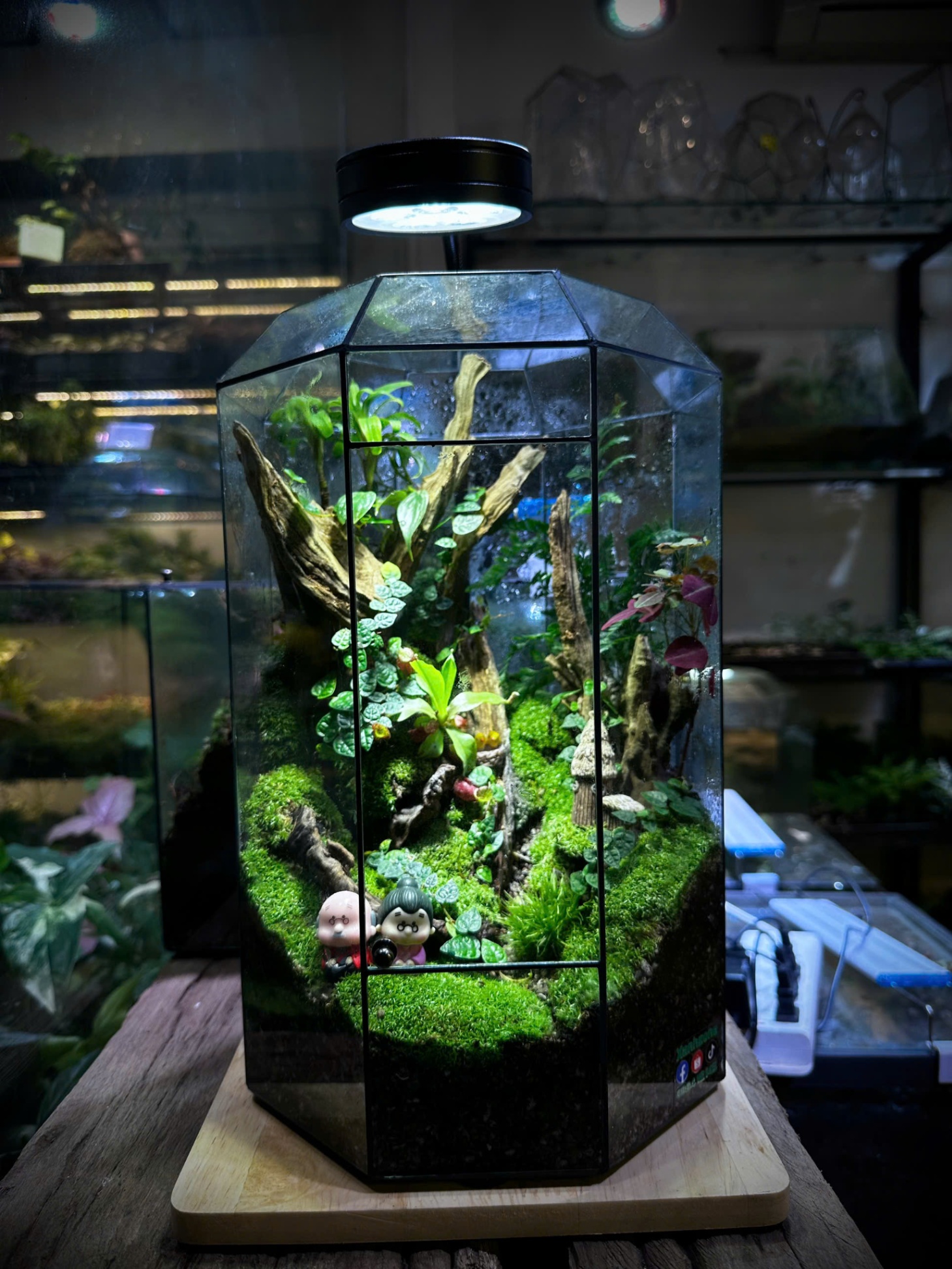 Đèn led đế gỗ cho hồ terrarium, hồ cá mini - 5w vuông