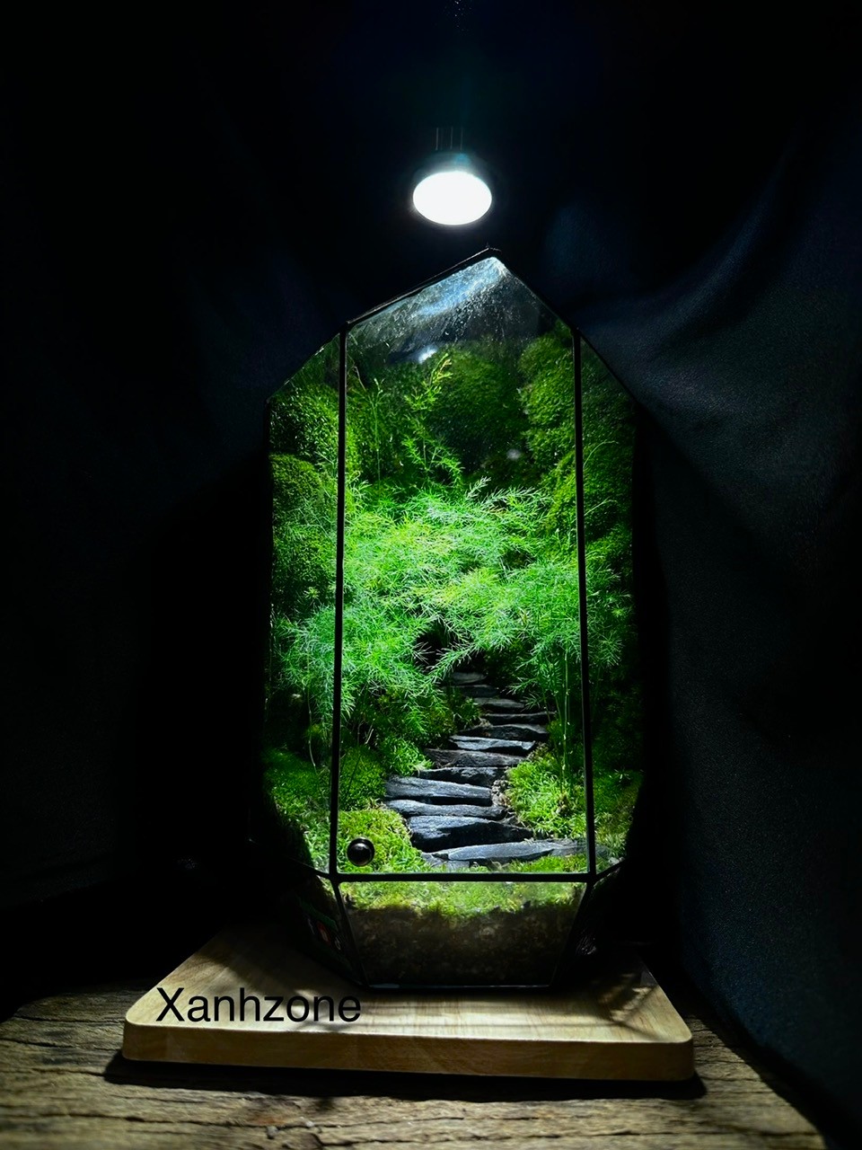 TERRARIUM THĂNG TIẾN