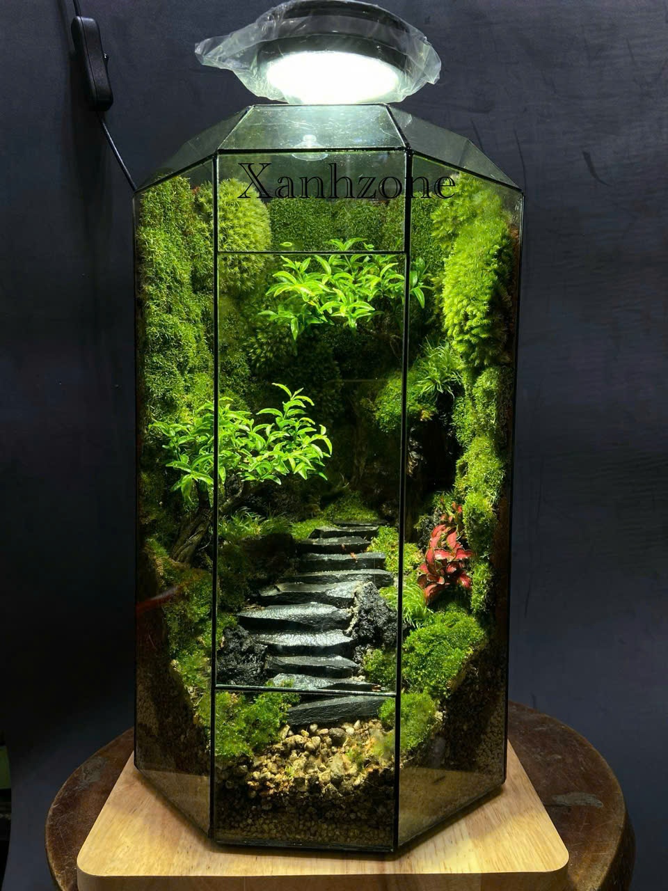 HIÊN NHÀ TERRARIUM